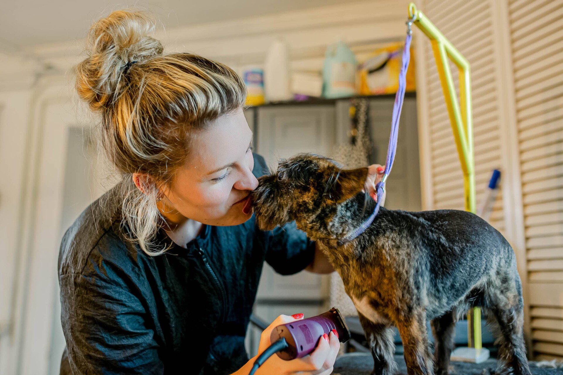 Spotlight on Bubbles & Bows Pet Salon